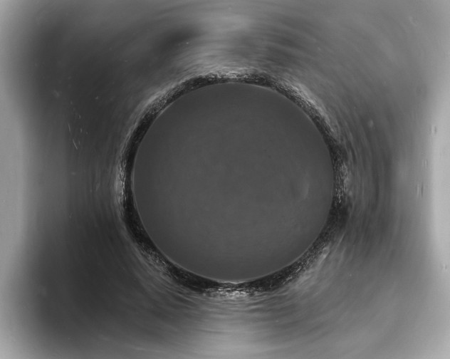 X0000093720640200710161059
