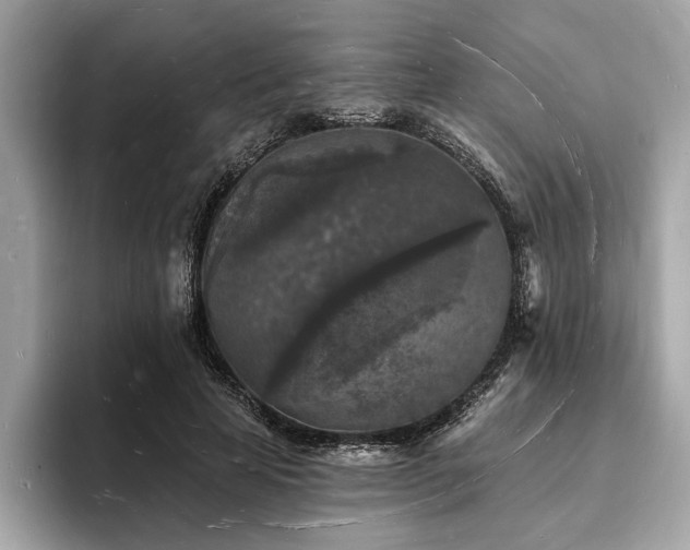 X0000093720641200710161059