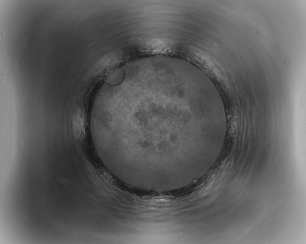 X0000093720643200710161059