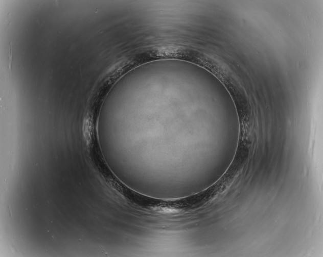X0000093720648200710161059