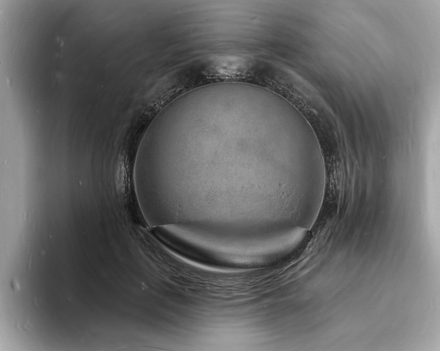 X0000093720651200710161059