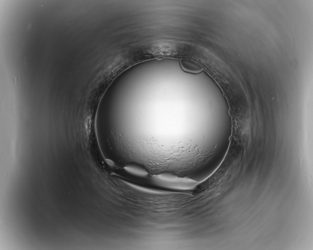 X0000093720652200710161059
