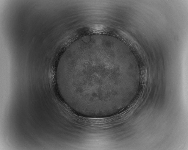 X0000093720653200710161059