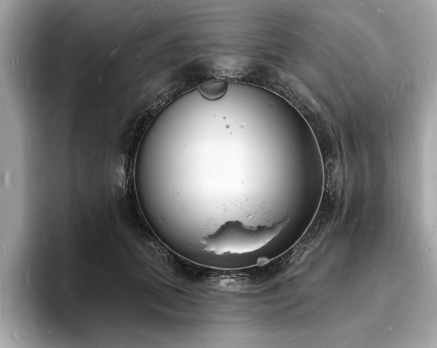 X0000093720655200710161059