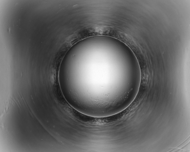 X0000093720656200710161059
