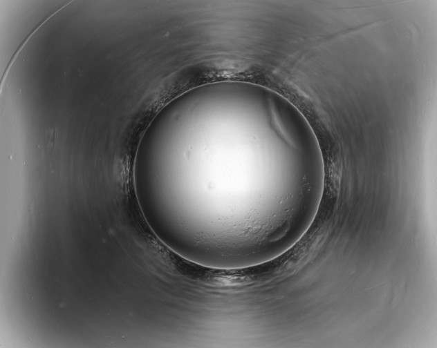 X0000093720657200710161059