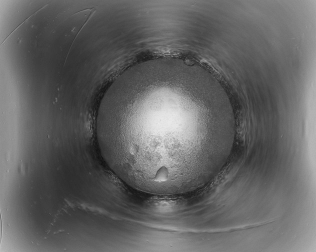 X0000093720658200710161059