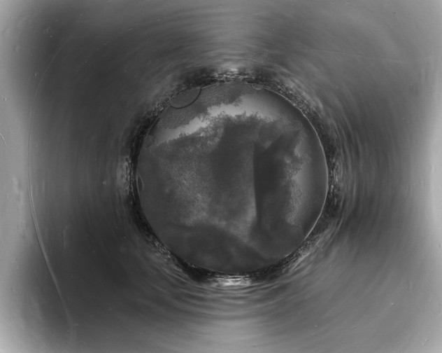 X0000093720659200710161059