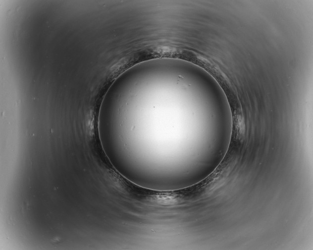 X0000093720668200710161059
