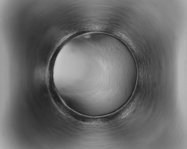 X0000093720674200710161059