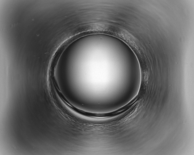 X0000093720676200710161059