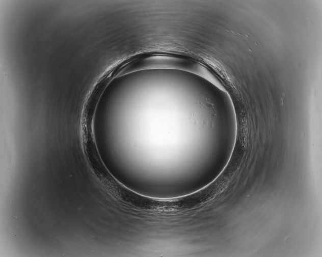 X0000093720680200710161059