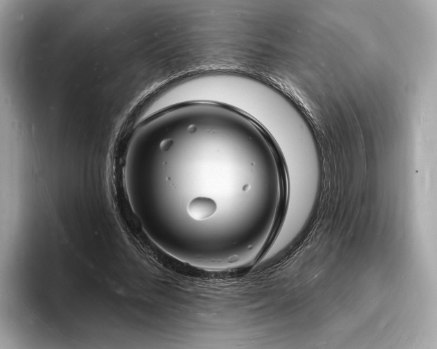 X0000093720684200710161059