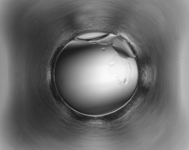 X0000093720685200710161059