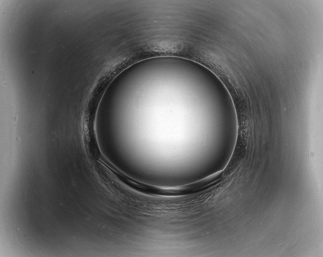 X0000093720688200710161059