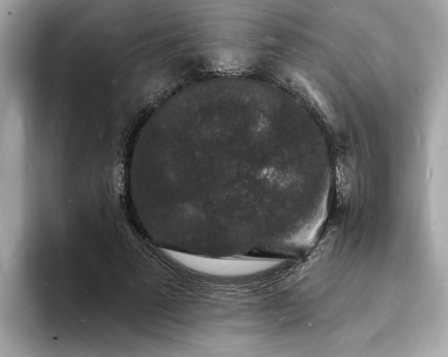 X0000093720689200710161059