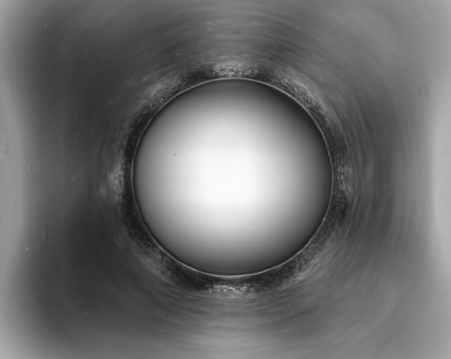 X0000093720690200710161059