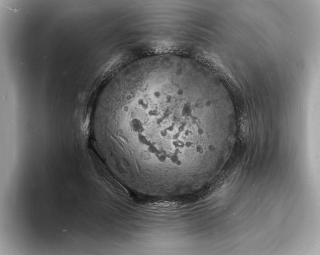 X0000093720691200710161058