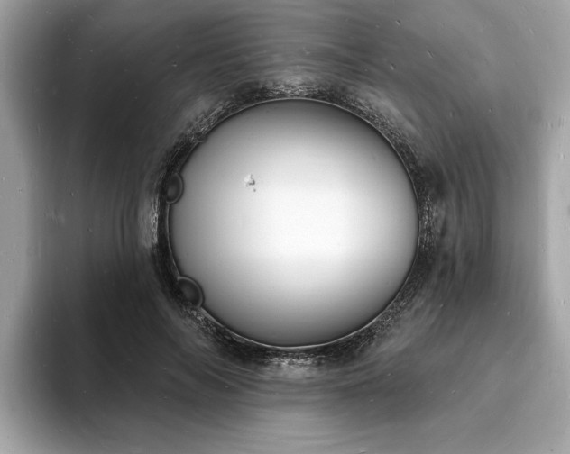 X0000093720694200710161058