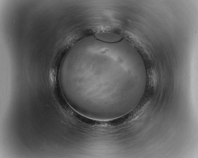 X0000093720695200710161058