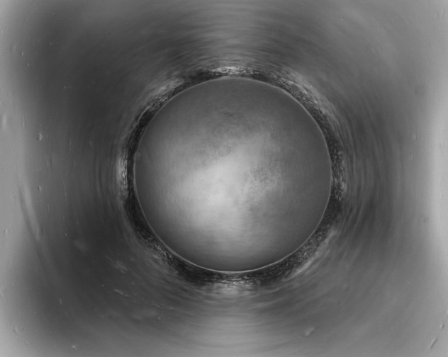 X0000093720696200710161058