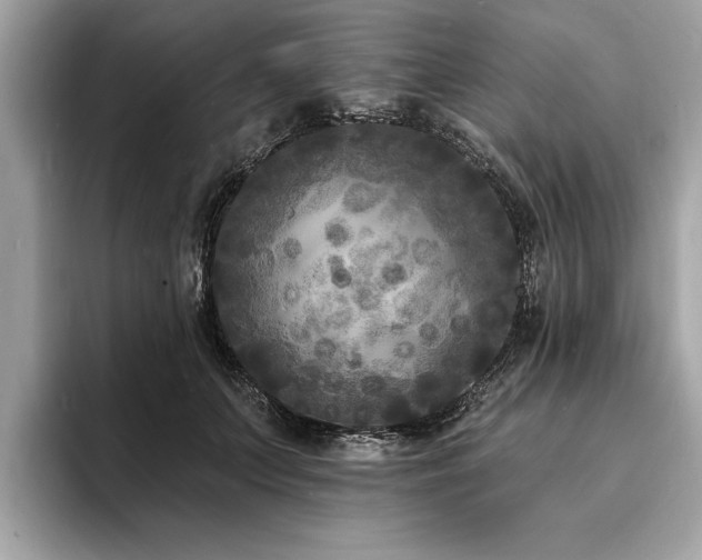 X0000093720703200710161058