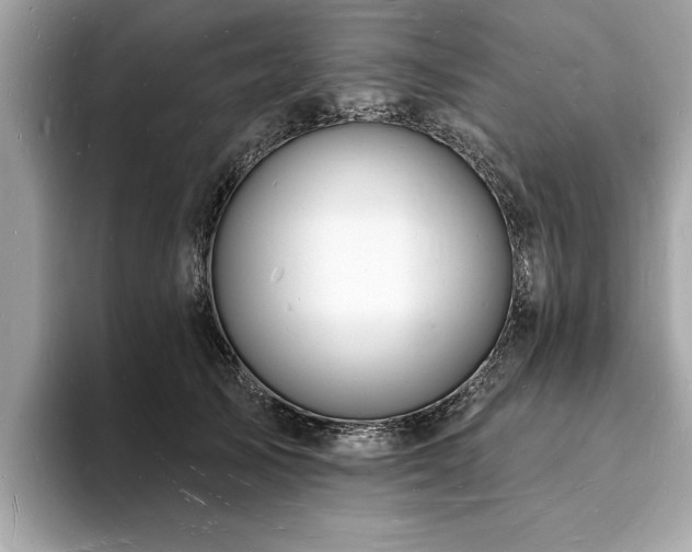 X0000093720705200710161058