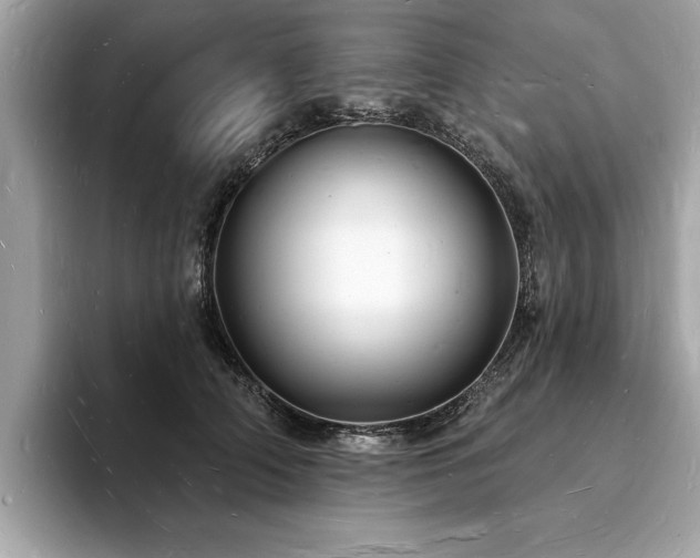 X0000093720706200710161058