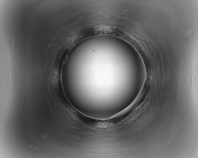 X0000093720708200710161058