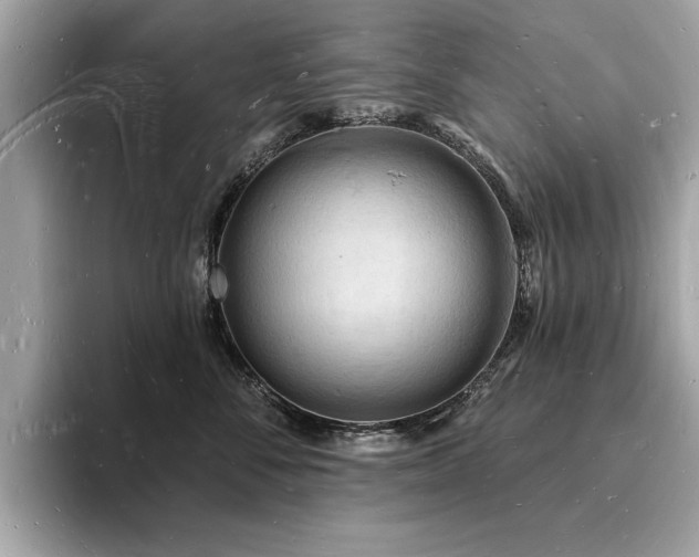 X0000093720716200710161058