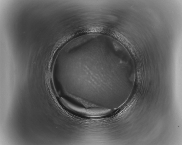 X0000093720721200710161058