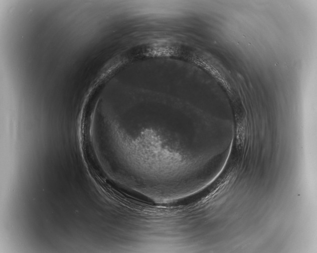 X0000093720722200710161058