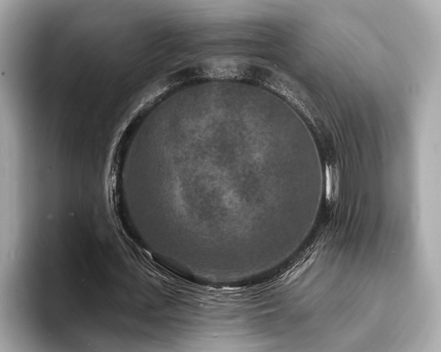 X0000093720723200710161058