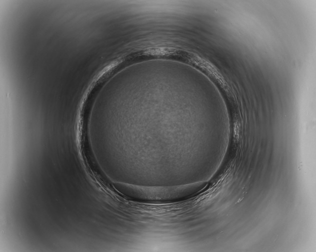 X0000093720724200710161058