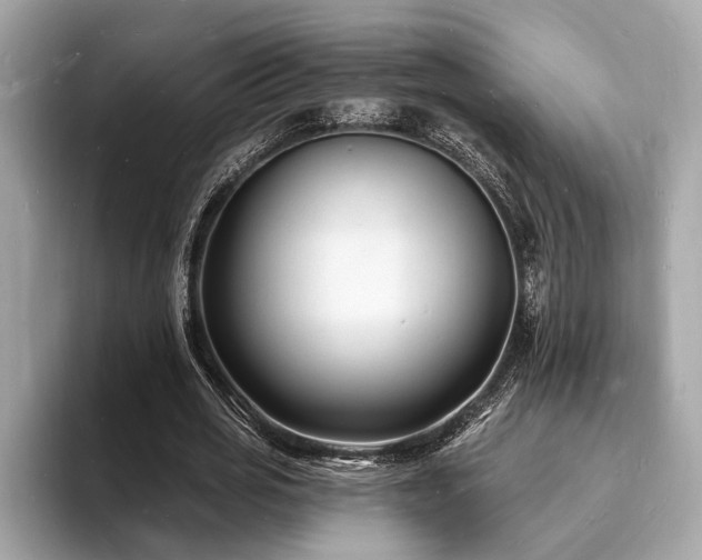 X0000093720725200710161058