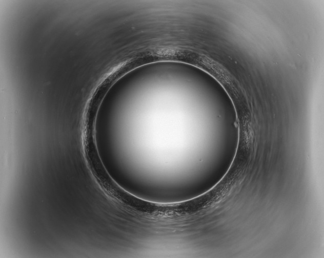 X0000093720728200710161058