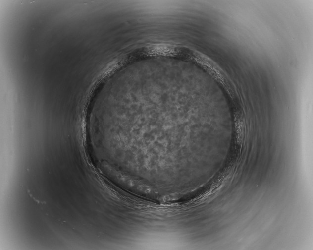 X0000093720729200710161058
