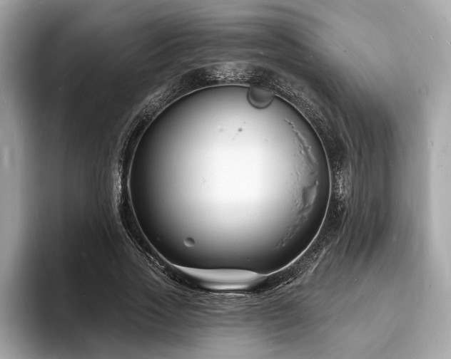 X0000093720733200710161058