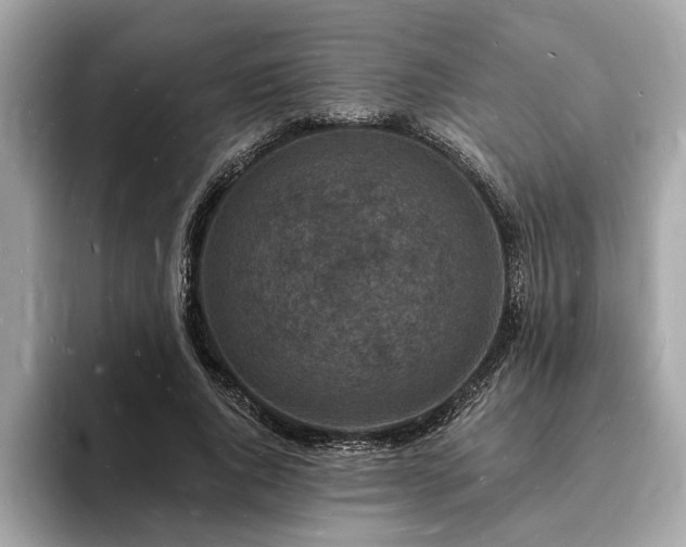X0000093720736200710161058