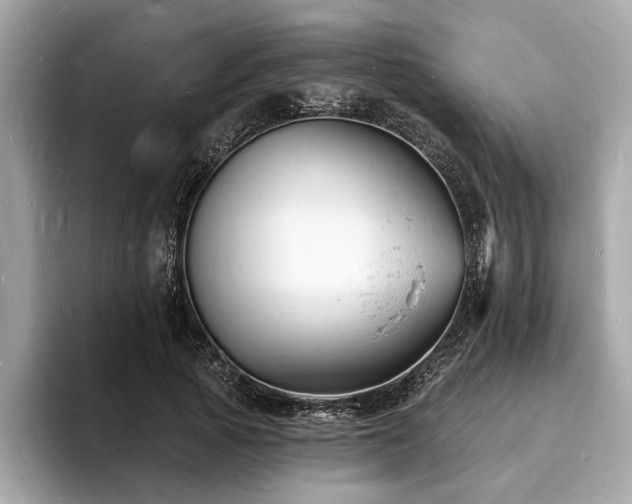 X0000093720737200710161058