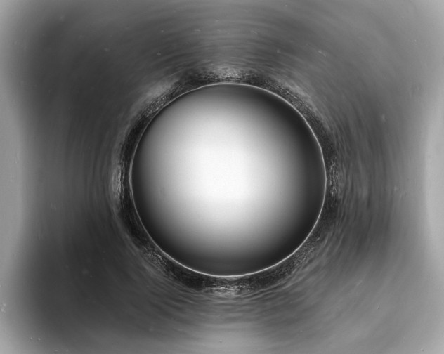 X0000093720740200710161058