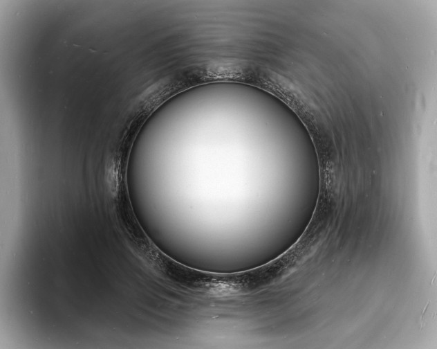 X0000093720741200710161058