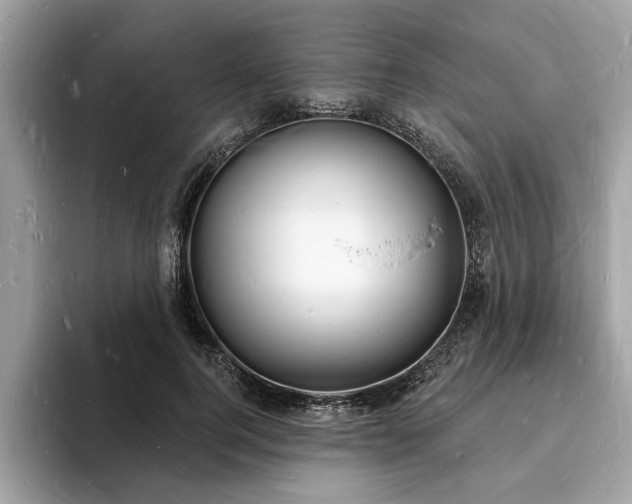 X0000093720744200710161058