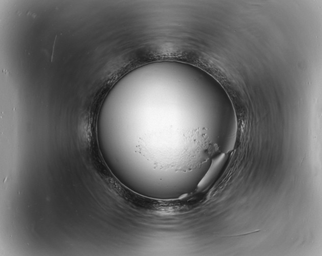 X0000093720746200710161058