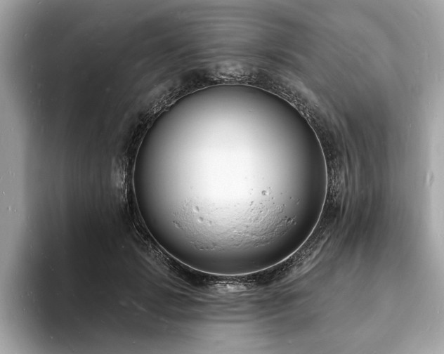 X0000093720749200710161058
