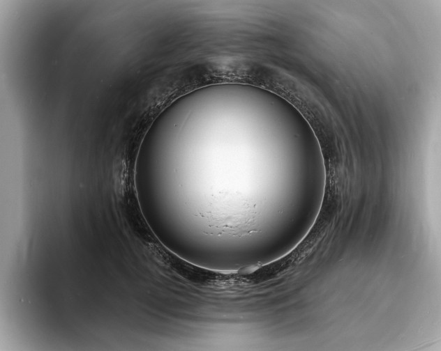 X0000093720752200710161058