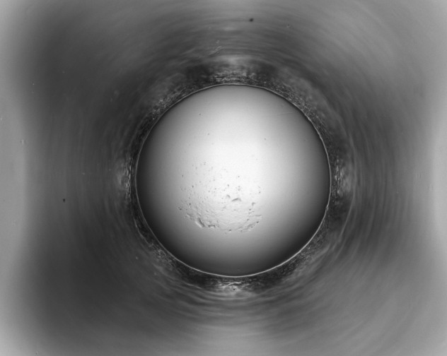 X0000093720753200710161058