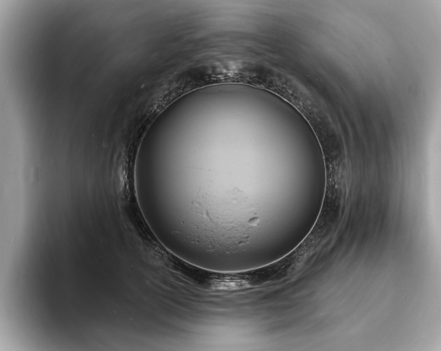 X0000093720754200710161058