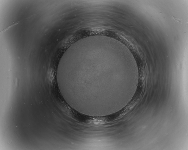 X0000093720758200710161058