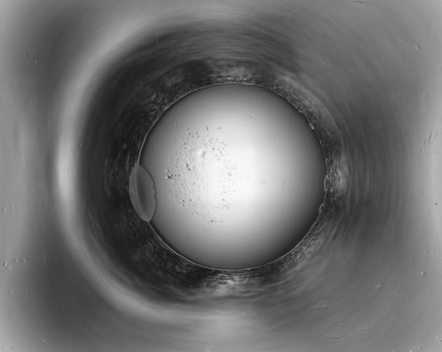 X0000093720764200710161058